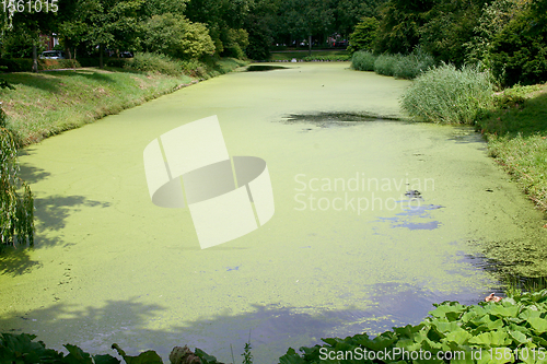 Image of pond 