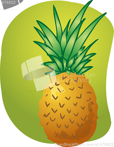 Image of Pineapple fruit illustration