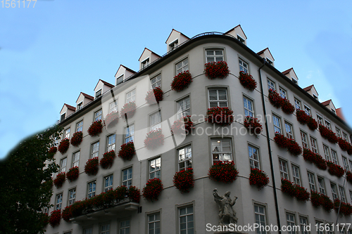 Image of Blumenhaus   House of flowers 