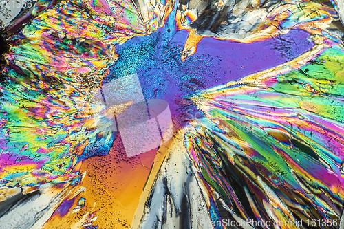 Image of Trisodium citrate microcrystals