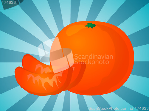 Image of Orange sections illustration