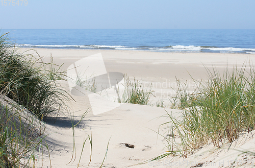 Image of Dünen Dunes 