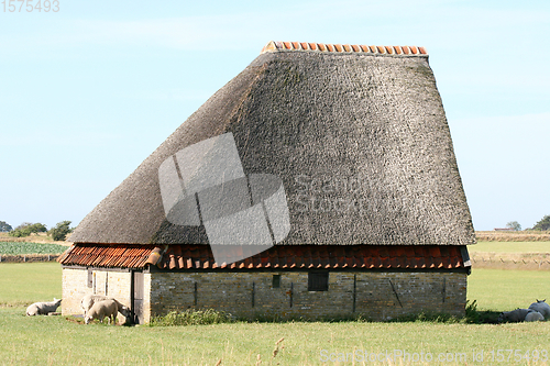Image of Schafscheune  Sheep barn 