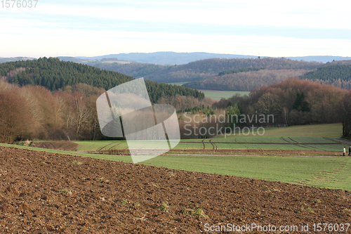 Image of Felder und Wälder  Fields and forests 