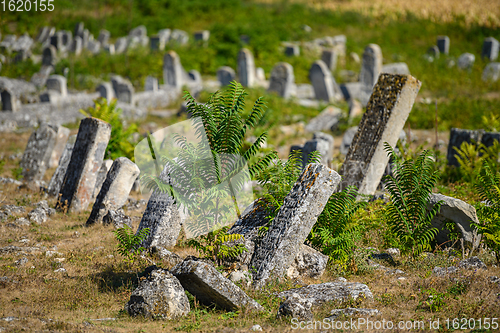 Image of Old tombstones at the ancient Jewish cemetery in Vadul liu Rascov in Moldova