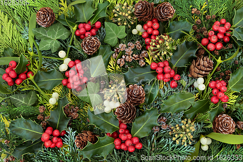 Image of Traditional Winter Holly and Flora  Background