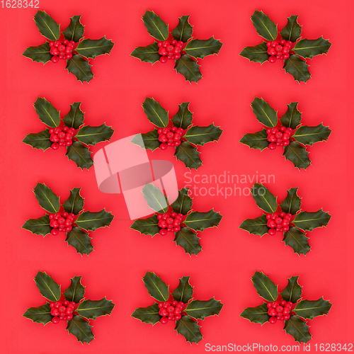 Image of Winter and Christmas Holly with Red Berry Pattern 