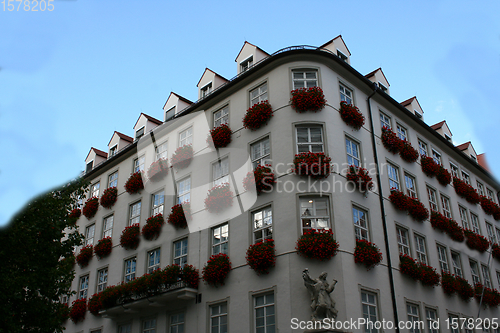 Image of Blumenhaus   House of flowers 