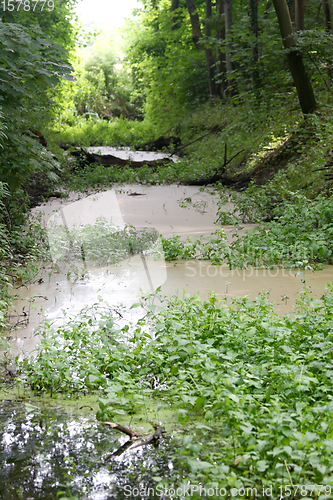 Image of Tümpel  pond 