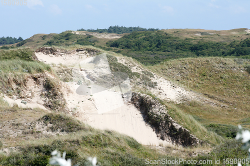 Image of Dünen Dunes 