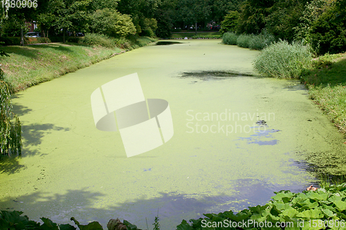 Image of Tümpel  pond 