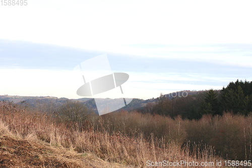 Image of Felder und Wälder  Fields and forests 