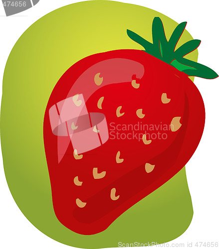 Image of Strawberry fruit illustration