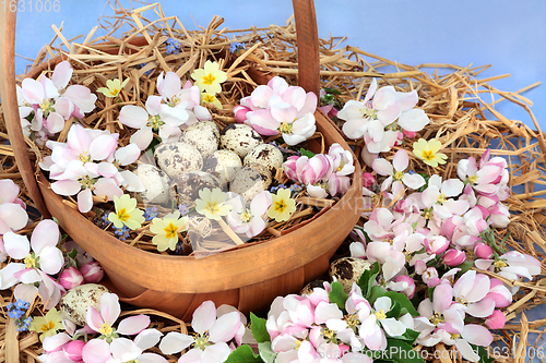 Image of Easter Basket with Quail Eggs and Apple Blossom