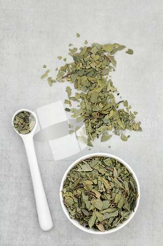 Image of Boldo Herb Leaves Used in Natural Herbal Medicine