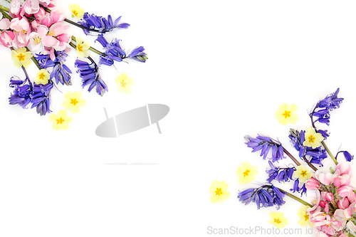 Image of Spring Flower Blossom Background Border 