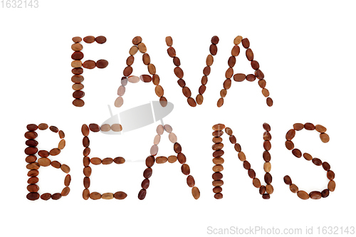 Image of Fava Beans Word  Phrase