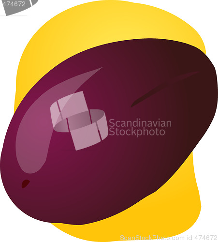 Image of Plum fruit illustration