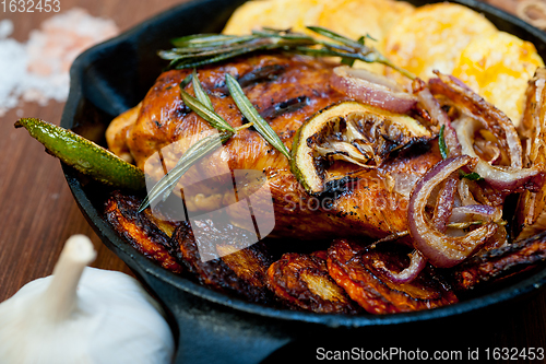 Image of roasted grilled BBQ chicken breast with herbs and spices 