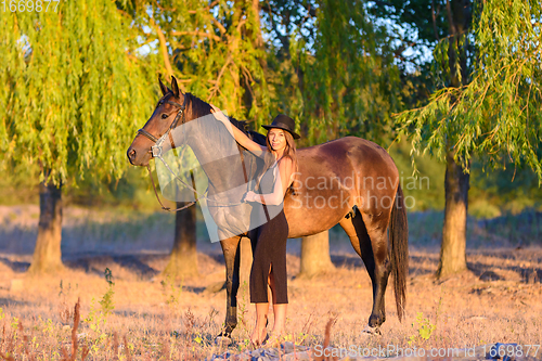 Image of A girl hugs a horse against a background of trees, the rays of the setting sun fall on them