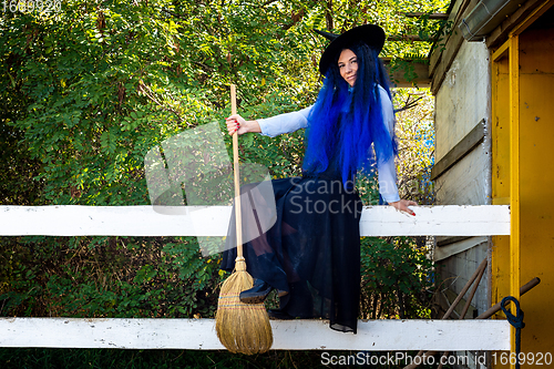 Image of Beautiful girl in a witch costume sits on the fence