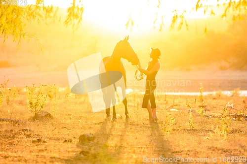 Image of Girl with a horse in the rays of the sunset backlight
