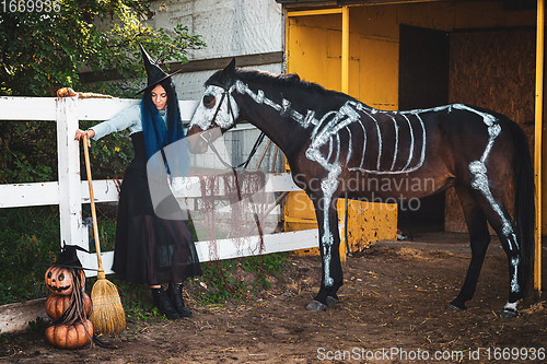 Image of A girl dressed as a witch stands by the fence of the corral, and a horse with a painted skeleton stands next to it