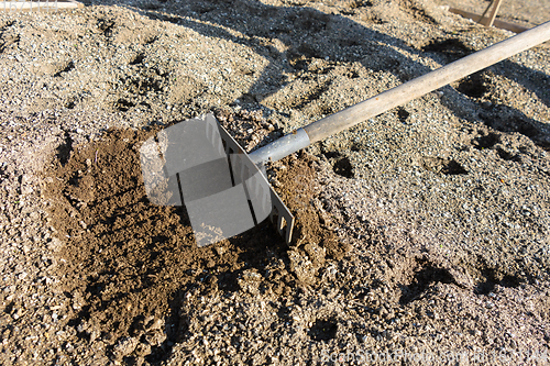 Image of Rakes loosen the garden bed during the spring work on the personal plot