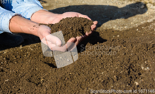 Image of Man\'s hands hold freshly sifted lawn soil