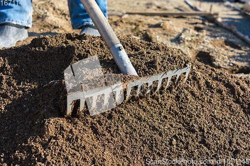 Image of The gardener loosens the ground with a rake