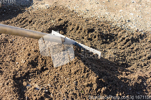 Image of The rake loosens and levels the fertile soil