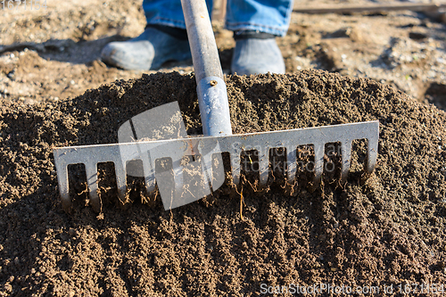 Image of A rake loosens the fertile soil, close-up