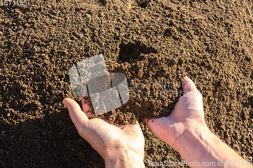 Image of Hands hold fertile soil in the palms, close-up