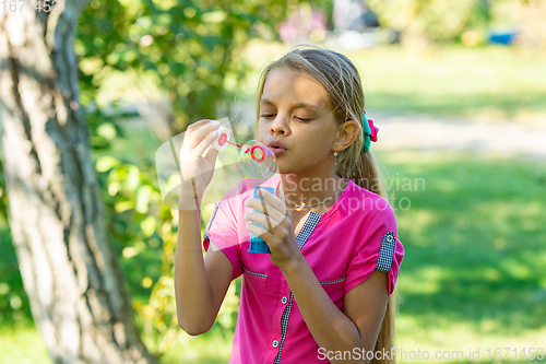 Image of Girl inflates soap bubbles on a bright sunny day in the park