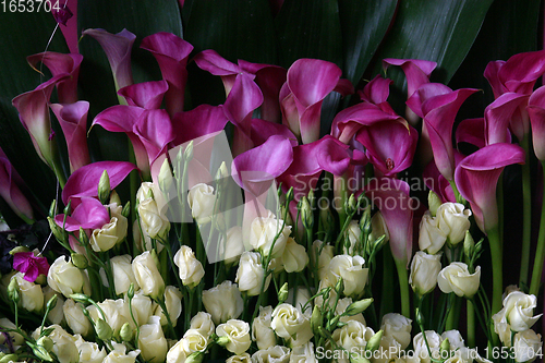 Image of Flowers