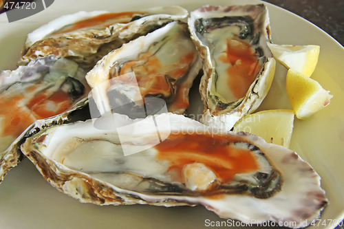 Image of Fresh raw oysters