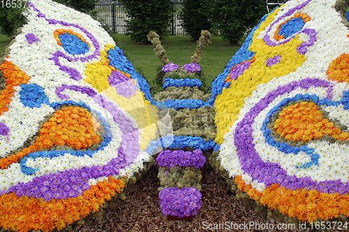 Image of Flower butterfly