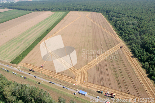 Image of Golden Wheat field