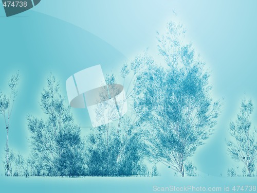 Image of Birch trees illustration