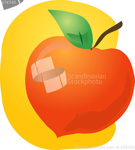 Image of Peach fruit illustration