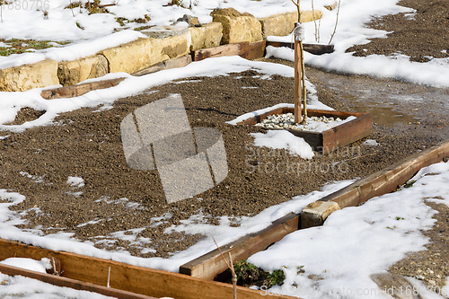 Image of a dug garden and a planted tree seedling in the spring on a personal plot, the snow is melting