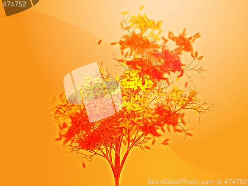Image of Autumn leafy tree