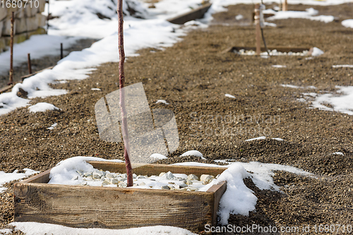 Image of In the garden in the spring a layer of snow melts, fertile soil appears