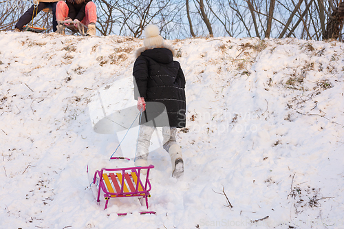 Image of A girl runs with a sled up the hill