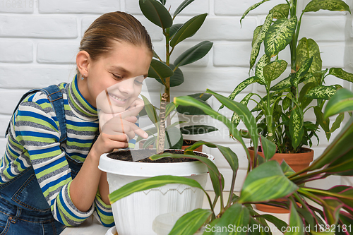 Image of Girl happily examines houseplants