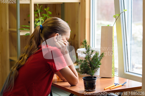 Image of A girl sits by the window at a table on which there are garden plants and is waiting for spring