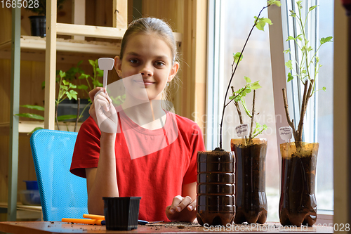 Image of A girl is engaged in planting seedlings of berry bushes in pots of plastic bottles, holds a pointer with the name of the plant in her hands and happily looks into the frame