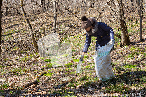 Image of The girl collects garbage in the forest, took a plastic bottle and puts it in a bag