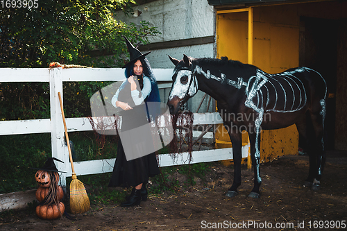 Image of A girl dressed as a witch on a halloween party holds a black cat in her arms and stands by a corral on a farm next to a horse