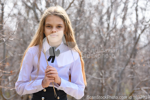 Image of Portrait of a beautiful twelve-year-old girl with dried wildflowers in her hands on a forest background